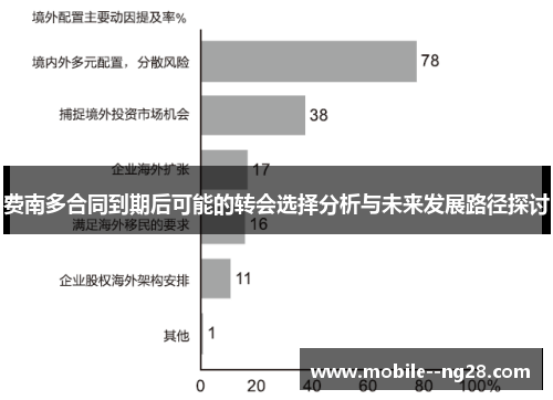 费南多合同到期后可能的转会选择分析与未来发展路径探讨
