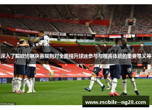 深入了解欧协联决赛规则对全面提升球迷参与与观赛体验的重要意义等