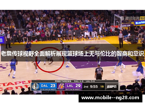 老詹传球视野全面解析展现篮球场上无与伦比的智商和意识