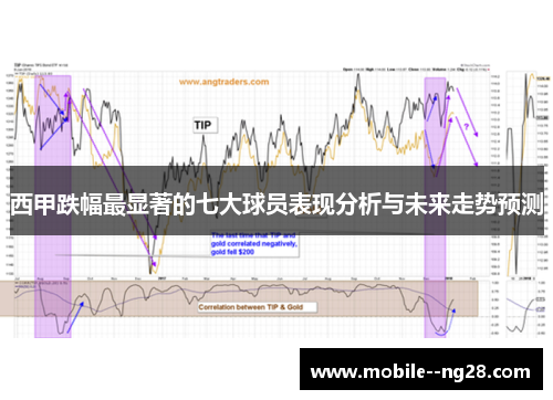 西甲跌幅最显著的七大球员表现分析与未来走势预测